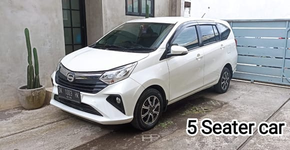 Bali: Private Car or Van Charter with Driver