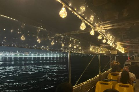 Rio de Janeiro: Sightseeing Cruise by Night