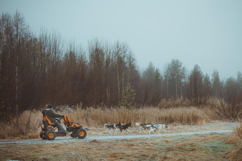 Rovaniemi: Autumn Husky Ride on Wheels