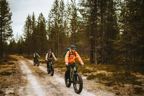 Rovaniemi: Guidad tur på elcykel i arktiska vildmarker och skogar