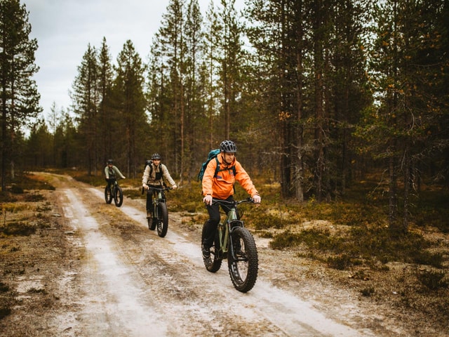 Rovaniemi: Exploring Nature With E-Fatbike