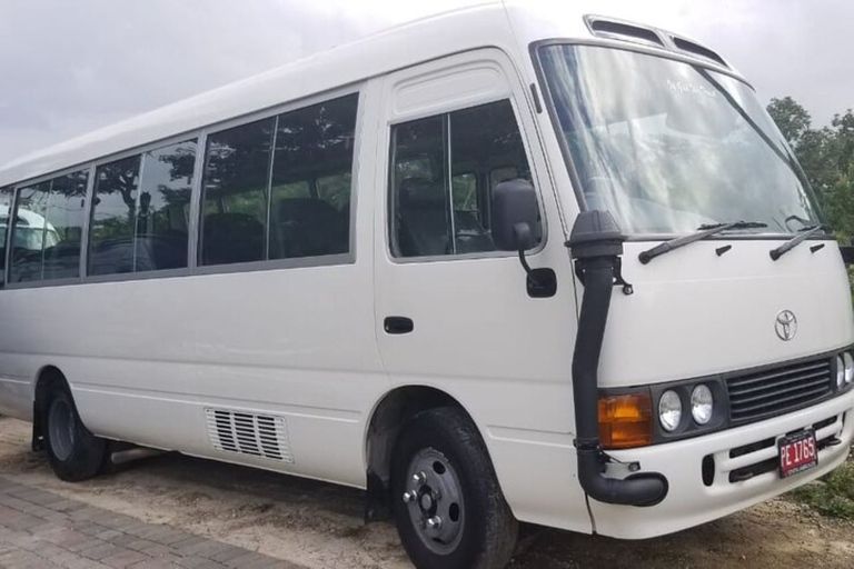 Montego Bay: Privat flygplatstransfer med direkt avresaMontego Bay: Privat flygtransfer med direkt avlämning