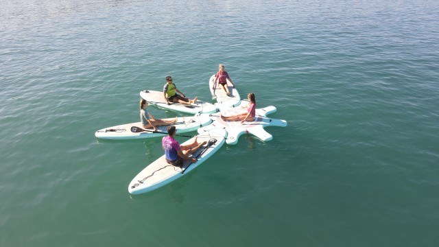 Visit Arguineguín Stand-up Paddleboard Yoga Class with Instructor in Nearby Islands