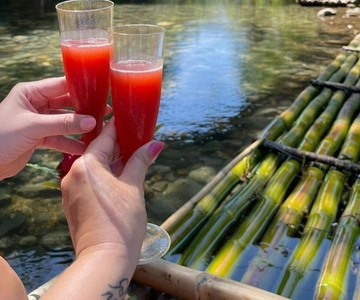 Montego Bay: River Rafting and Dunn's River Falls Day Trip