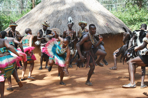 Giraffe Center, Elephant Orphanage & Bomas of Kenya Tour Giraffe, Elephant Orphanage, Beads Center & Bomas of Kenya