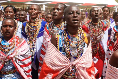 Giraffe Center, Elephant Orphanage and Bomas of Kenya Tour