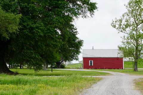 La Nouvelle-Orléans : Visite guidée de la Plantation Saint-Joseph