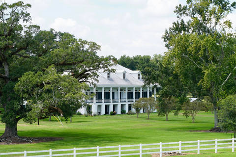 Nova Orleans: excursão guiada à plantação de St. Joseph