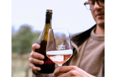 Ozzano Emilia: Visita guiada a pie por las bodegas con cata de vinos