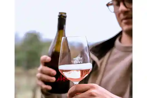 Ozzano Emilia: Visita guiada a pé às adegas com degustação de vinhos
