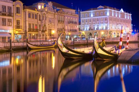 From Porto: History and Food Tour of Aveiro and Ilhavo