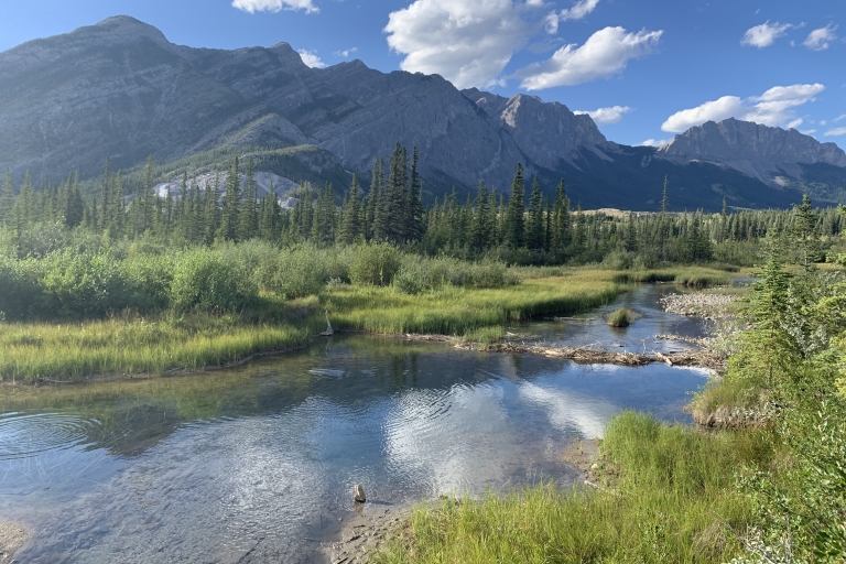 Banff: piesza wycieczka przyrodniczaŚcieżka przyrodnicza Banff
