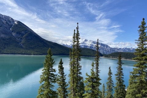 Banff: Rundgang durch die NaturBanff-Naturspaziergang