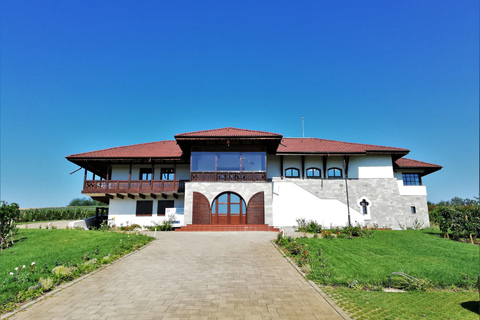 Visita a Bodegas y Cata de Vinos: excursión de medio día