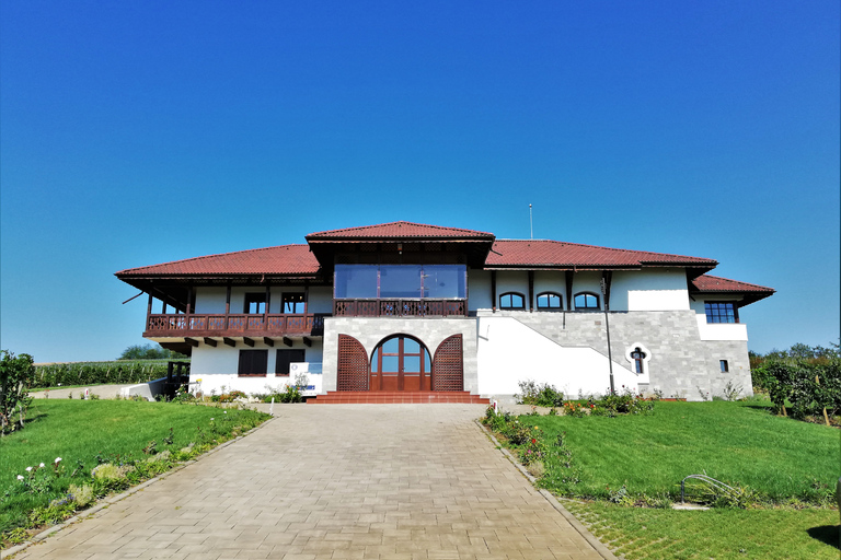 Visita a Bodegas y Cata de Vinos: excursión de medio día