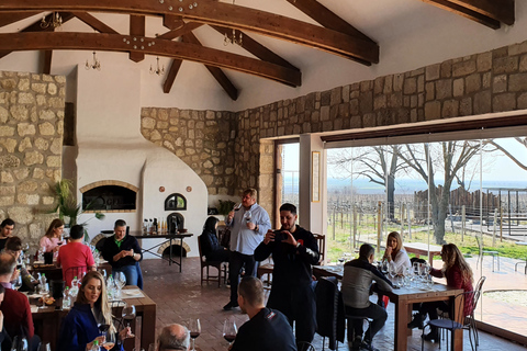 Winery visit & Wine Tasting: half-day tour