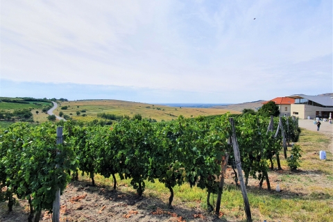 Visite de vignobles et dégustation de vins : excursion d'une demi-journée