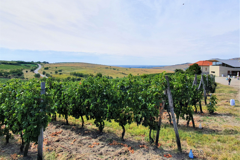 Visita a Bodegas y Cata de Vinos: excursión de medio día