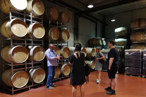 Visite de vignobles et dégustation de vins : excursion d'une demi-journée