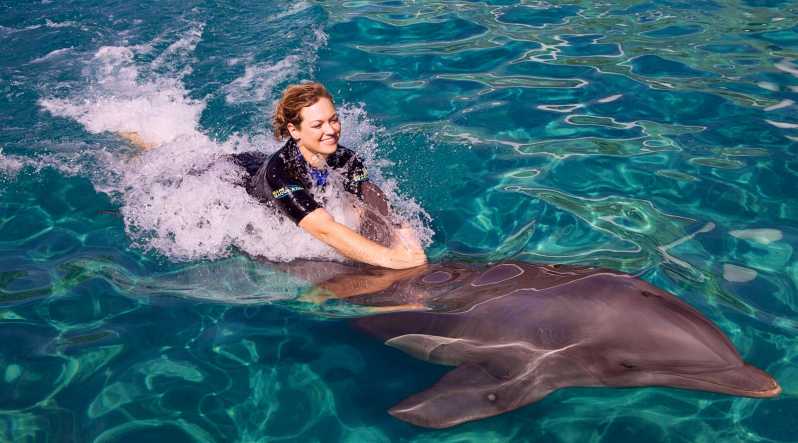 Майами: плавание с дельфинами с входом в морской аквариум