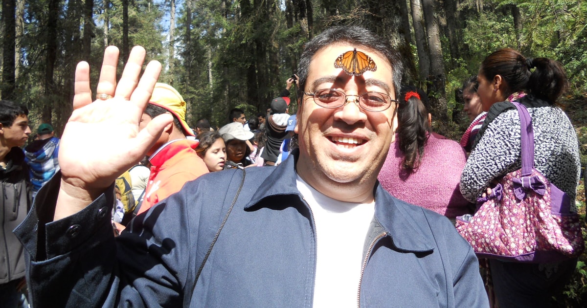 From Morelia Monarch Butterfly Tour GetYourGuide