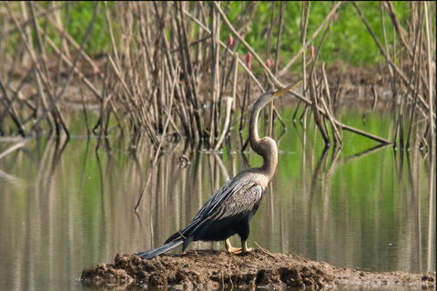 Phnom Penh: Kirirom National Park Day Trip with Lunch