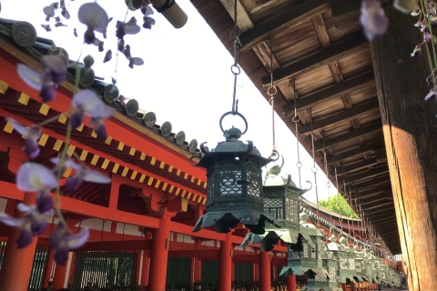 Desde Kioto: Excursión guiada de medio día en autobús por Nara