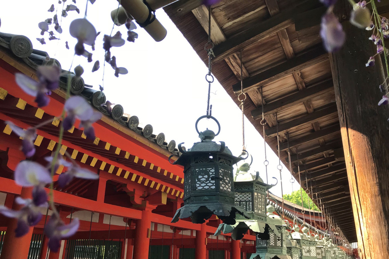 Depuis Kyoto : Visite guidée en bus d'une demi-journée à Nara