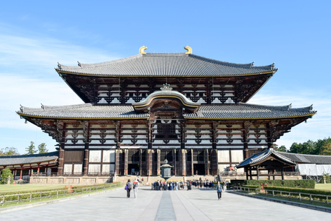 Depuis Kyoto : Visite guidée en bus d'une demi-journée à Nara