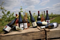From Tours, Loire Valley Wineries Day Trip with Tastings - Housity