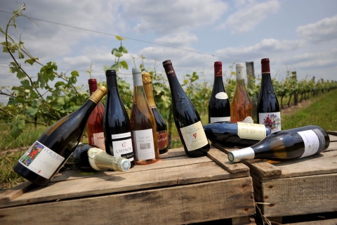 Von Tours: Tagesausflug zu den Weingütern im Loiretal mit Verkostungen