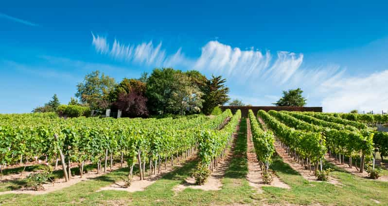 From Tours: Loire Valley Wineries Day Trip with Tastings | GetYourGuide