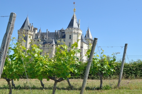 From Tours: Loire Valley Wineries Day Trip with Tastings