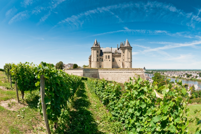 De Tours : Excursion d'une journée dans les vignobles de la vallée de la Loire avec dégustations