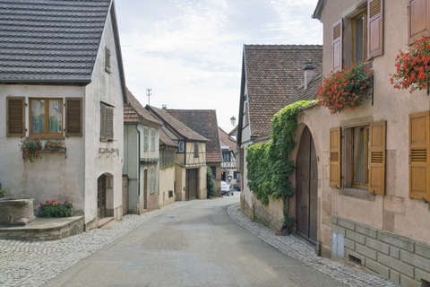 Desde Estrasburgo: tour de medio día por los pueblos de AlsaciaDesde Estrasburgo: Excursión de media jornada por los pueblos de Alsacia