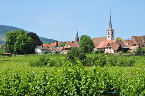 Vanuit Straatsburg: Halfdaagse tour langs dorpen in de ElzasVanuit Straatsburg: rondleiding van een halve dag door de dorpen van de Elzas