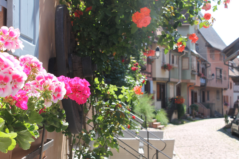 From Strasbourg: Half-Day Tour of Alsace Villages