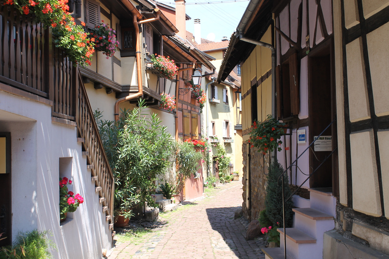 Desde Estrasburgo: tour de medio día por los pueblos de AlsaciaDesde Estrasburgo: Excursión de media jornada por los pueblos de Alsacia