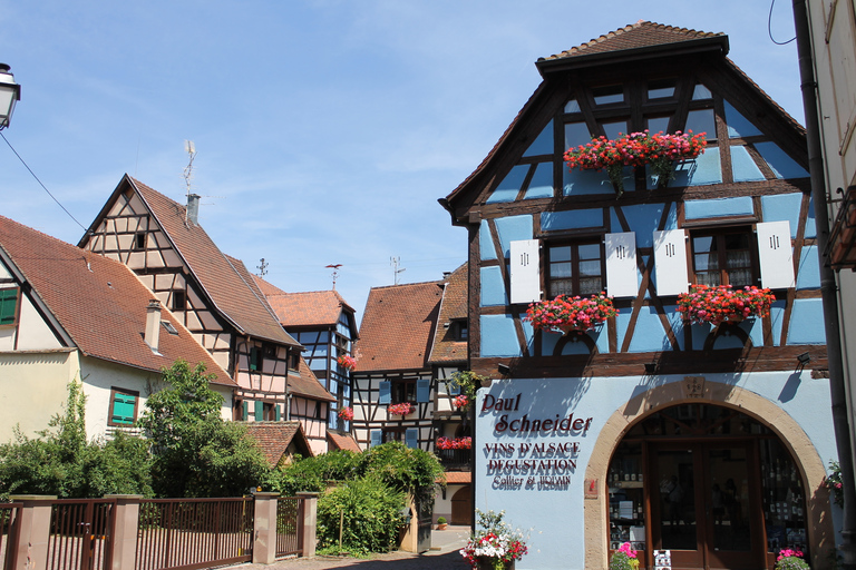 Vanuit Straatsburg: Halfdaagse tour langs dorpen in de ElzasVanuit Straatsburg: rondleiding van een halve dag door de dorpen van de Elzas