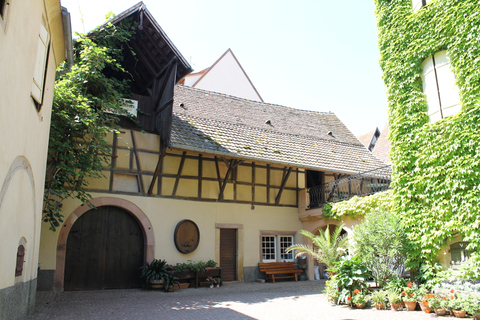 From Strasbourg: Half-Day Tour of Alsace Villages