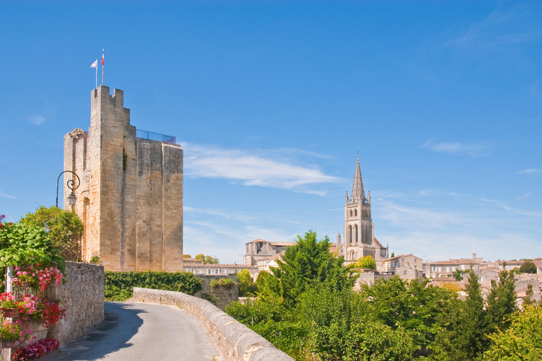 Från Bordeaux: Halv dags tur till St Émilion för vinprovning