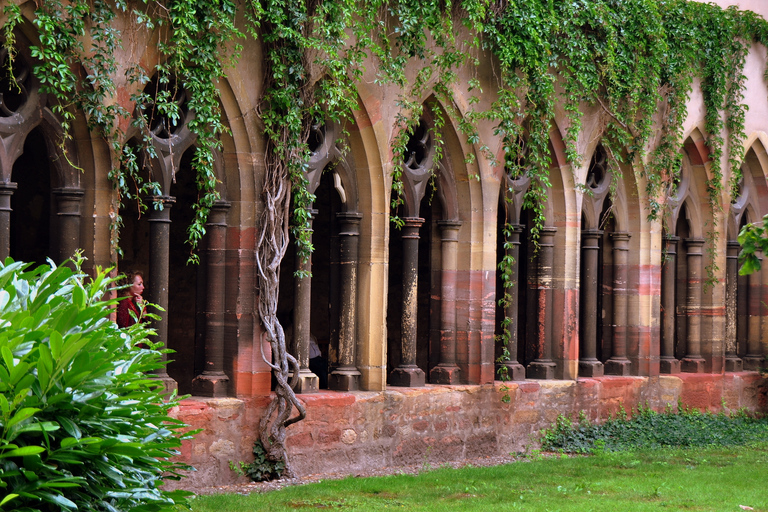 Z Colmar: Wycieczka po wioskach Alzacji i degustacja winaZ Colmar: Alzacja Villages Tour i degustacja wina