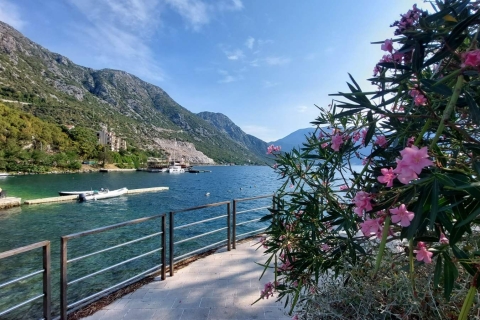 Best of Montenegro: Kotor Bay Tour from Dubrovnik Best of Montenegro: Kotor Bay Tour from Dubrovnik - English