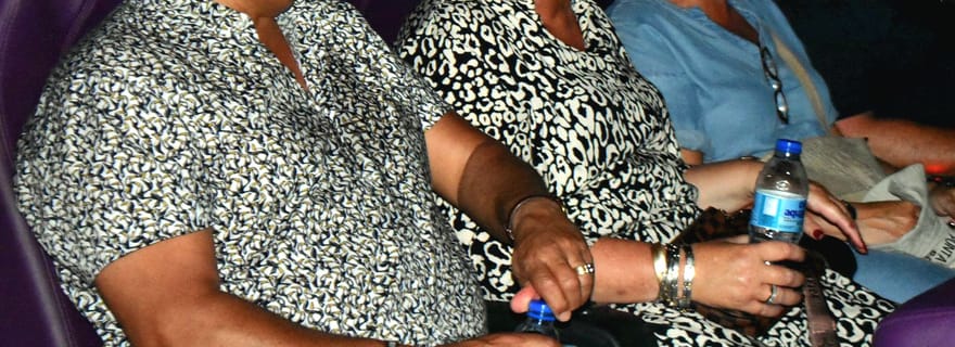 Santo Domingo : La bataille de Santo Domingo - Attraction 4D