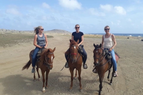 Aruba: balade à cheval de 3 heures pour cavaliers confirmés