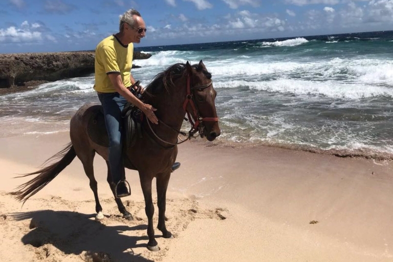 Aruba: 3 uur paardrijden voor gevorderden