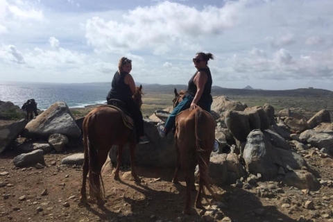 Aruba: cabalgata de 3 horas para jinetes avanzados