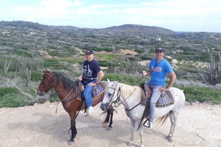 Aruba: 3-Hour Horseback Ride for Advanced Riders
