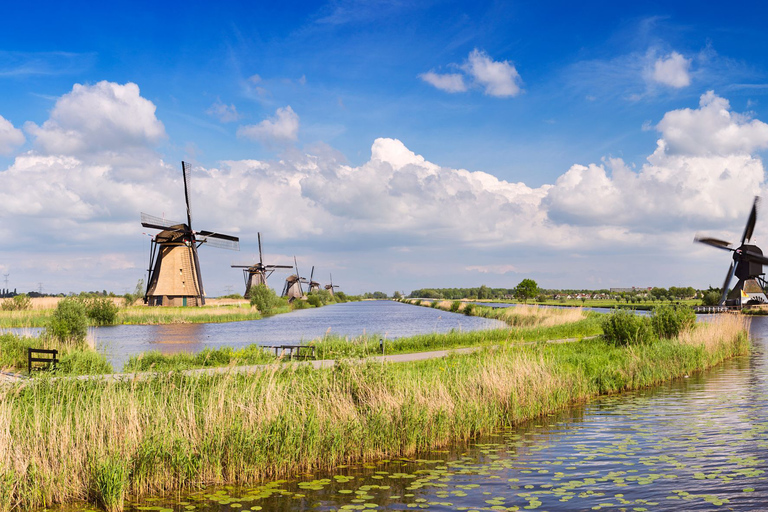 Rotterdam: Waterbusticket naar Kinderdijk en Dordrecht