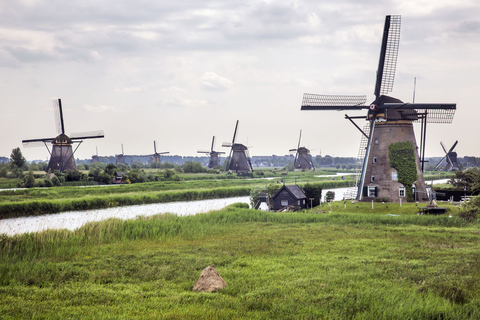 Rotterdam: Billete de autobús acuático a Kinderdijk y Dordrecht